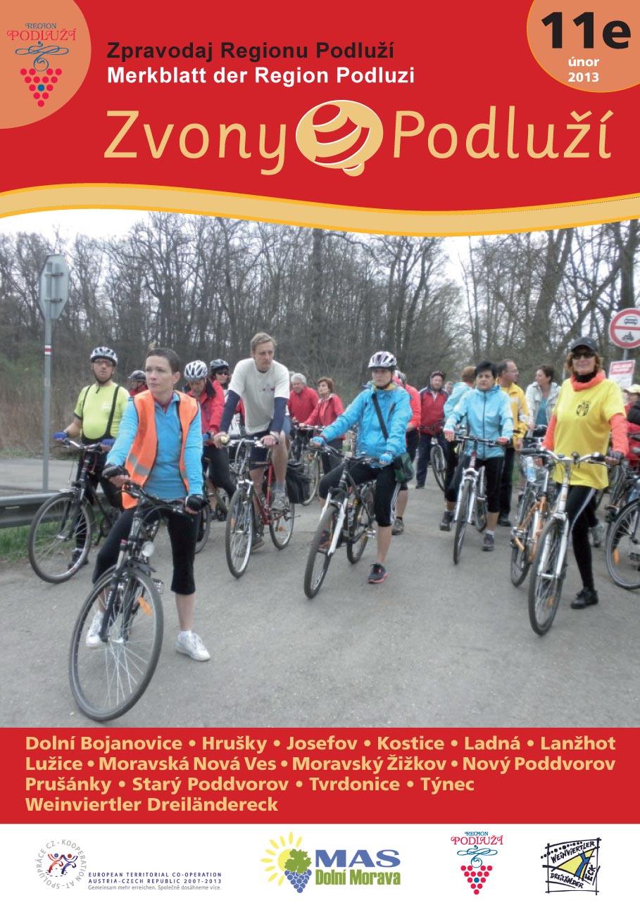 zvony 2013 11 e titulka