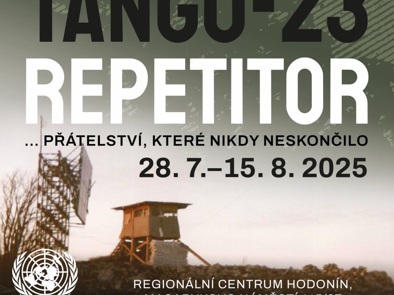 Výstava v regionálním centru