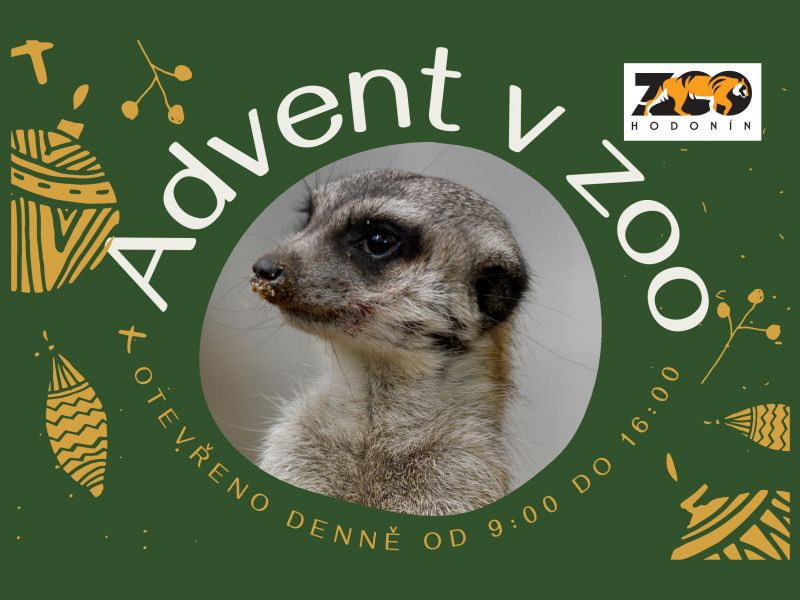 Advent v zoo Hodonín