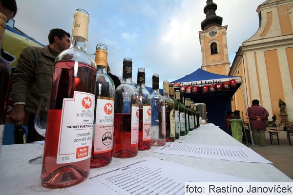 Svatomartinské slavnosti Dolní Morava 2014