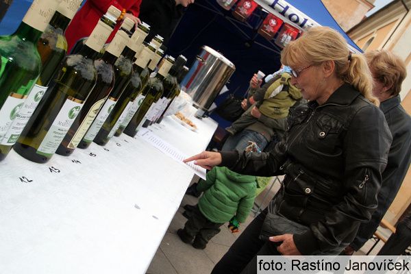 Svatomartinské slavnosti Dolní Moravy 2015