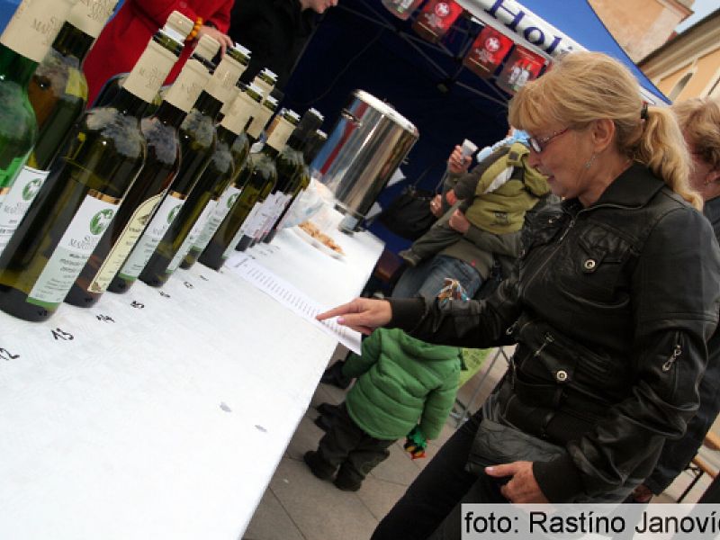 Svatomartinské slavnosti Dolní Moravy 2015