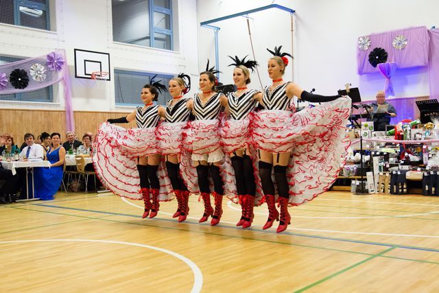 Ples Regionu Podluží