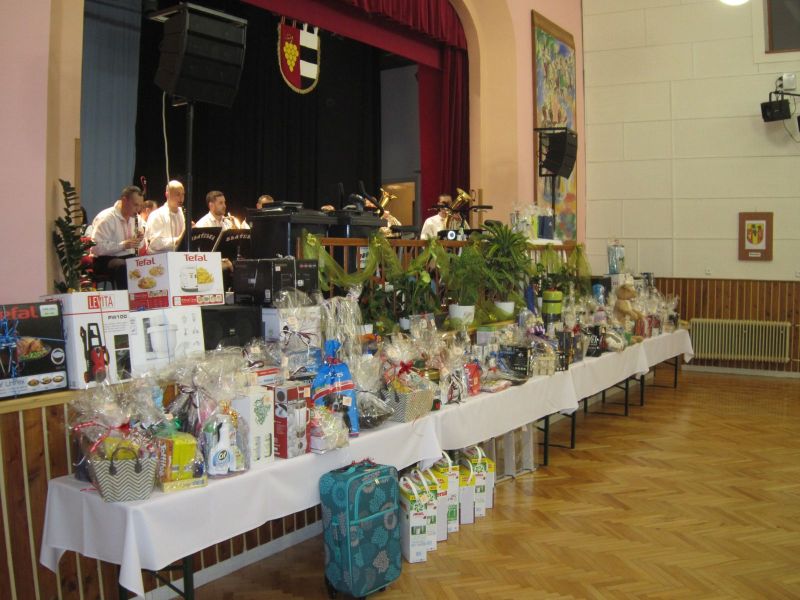 14. Ples Regionu Podluží v Prušánkách