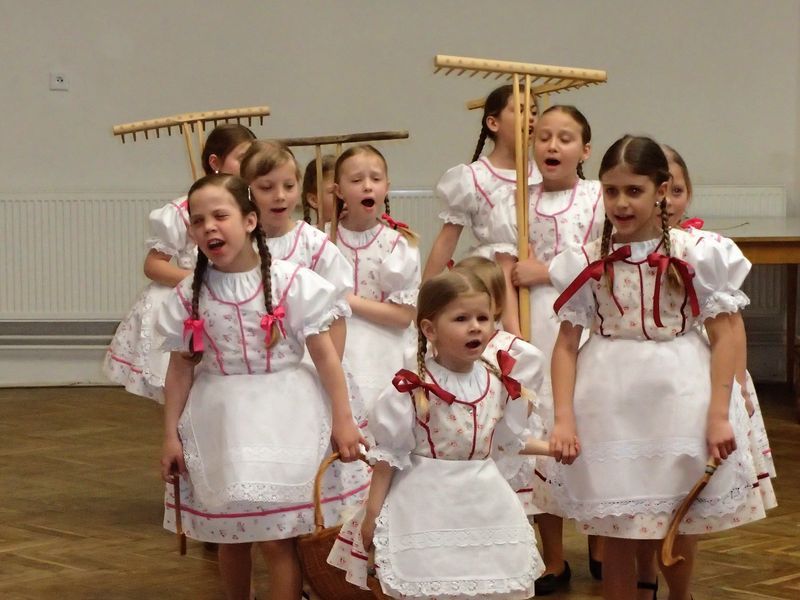 Přehlídka DFS 22.4.2017 Kostice