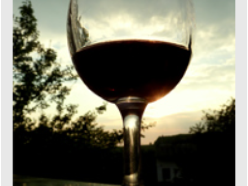 Den otevřených sklepů 2024