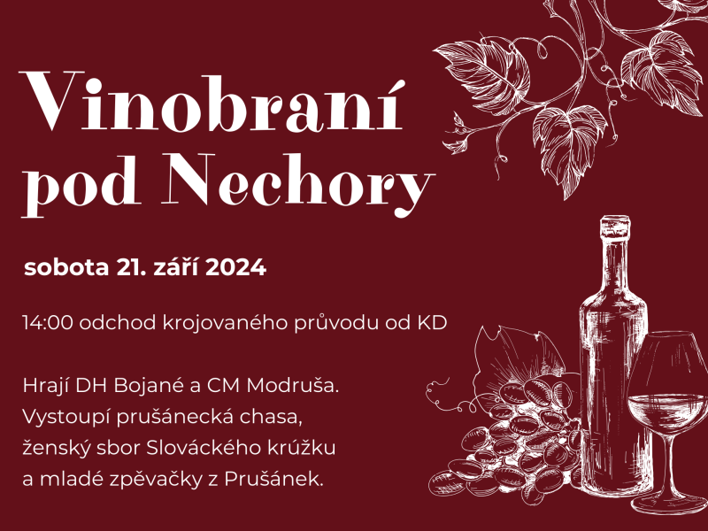 Vinobraní pod Nechory 2024