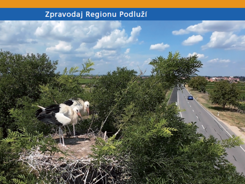 Zpravodaj Zvony Podluží č. 36