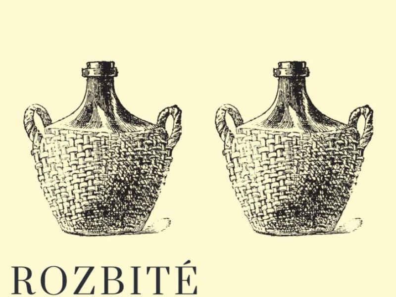 Divadlo - Rozbité demižony