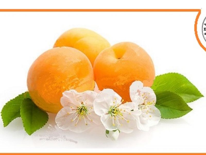 Košt pálenek a kysaného zelí, 21.1.2017