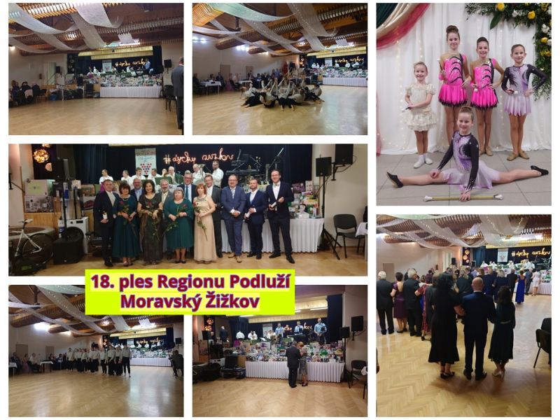 Ples Regionu Podluží v Moravském Žižkově