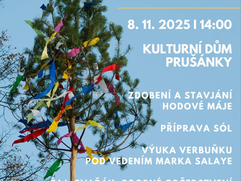 Stavjání hodové máje Prušánky 2025