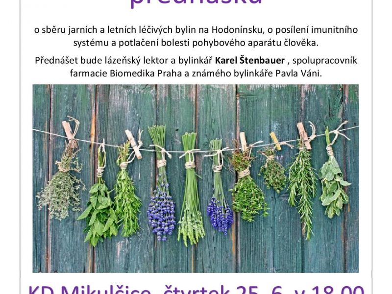Odborná zdravotní přednáška v Mikulčicích