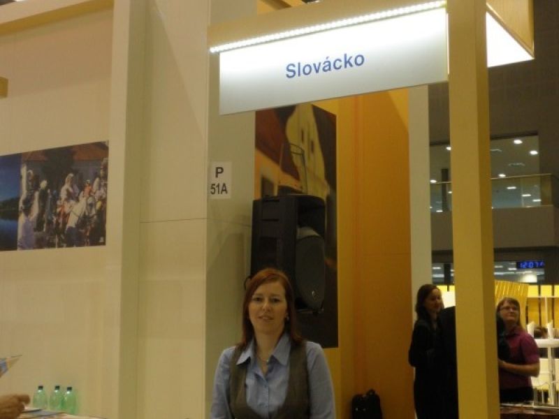 Zasedání Rady starostů dne 8.1.2013 v Moravském Žižkově