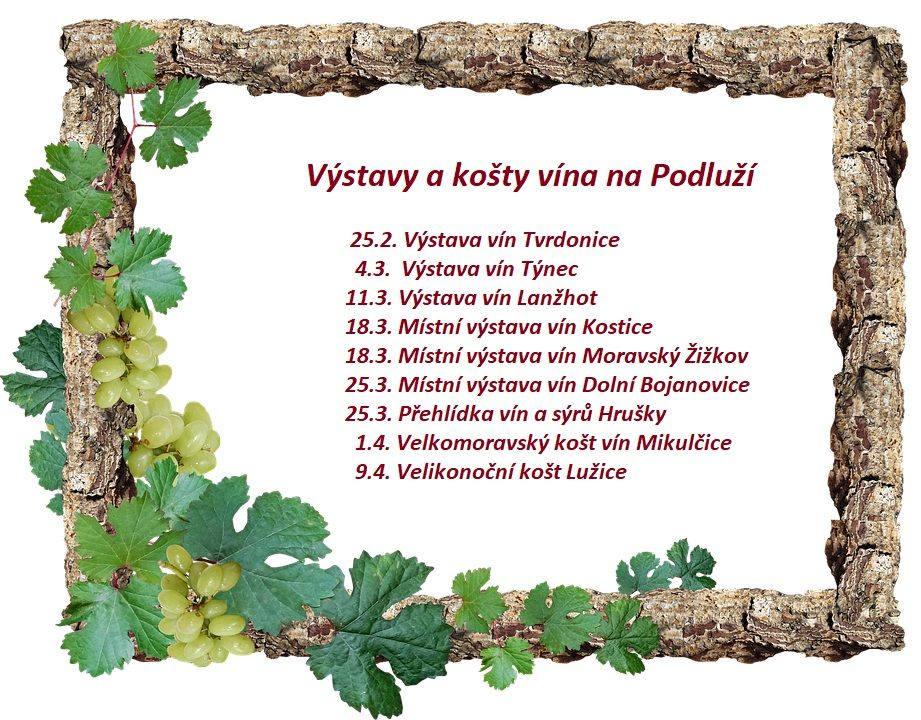 Přehled koštů vín na Podluží
