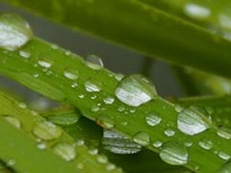 Sběr projektových námětů pro novou strategii rozvoje MAS Dolní Moravy