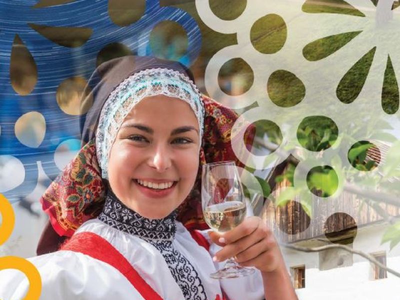 Kulturní, sportovní a společenské akce na jižním Slovácku v roce 2020