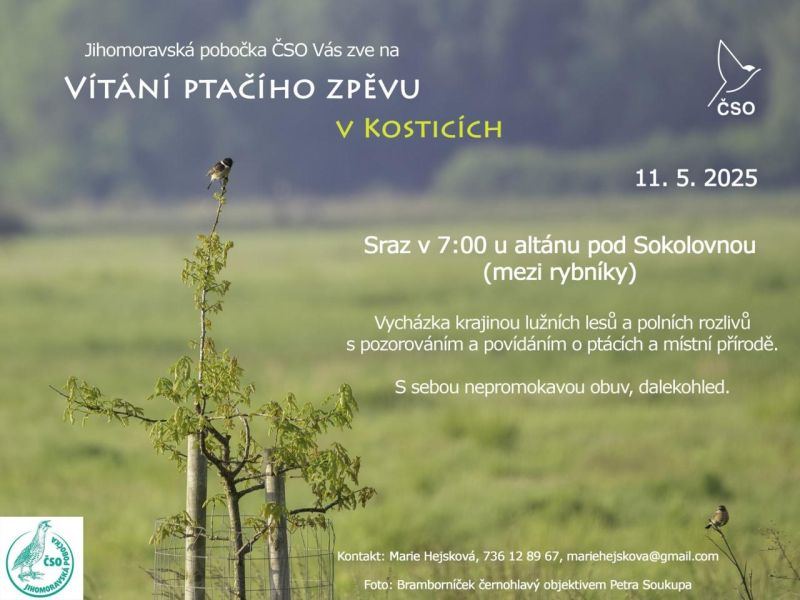 Vítání ptačího zpěvu v Kosticích