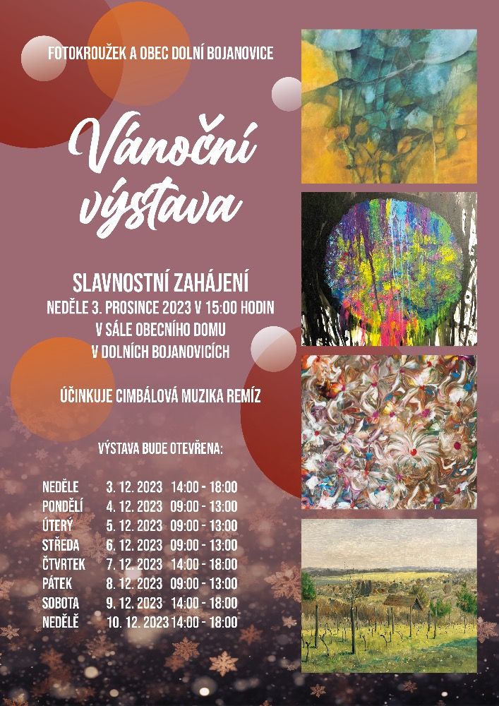 Vánoční výstava Dolní Bojanovice