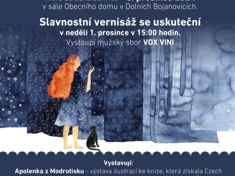 Vánoční výstava v Dolních Bojanovicích