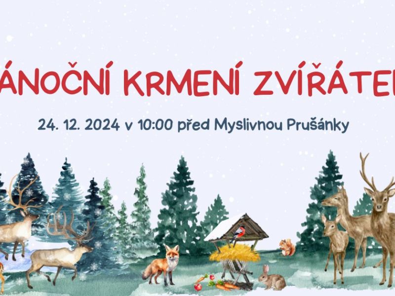 Vánoční krmení zvířátek 2024