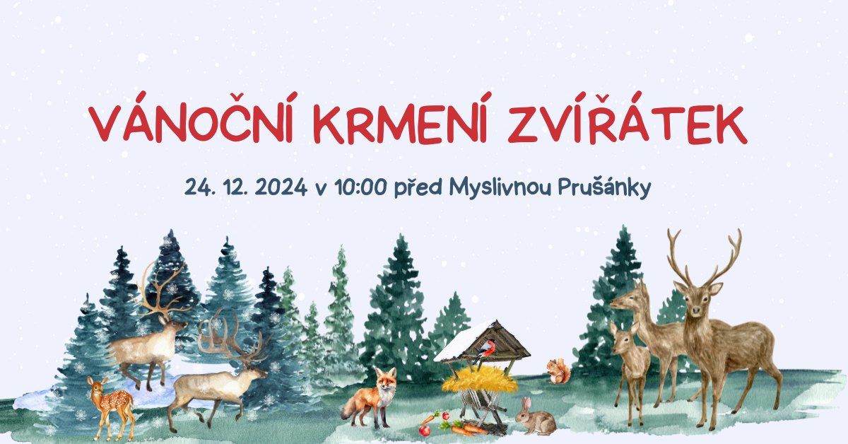 Vánoční krmení zvířátek 2024